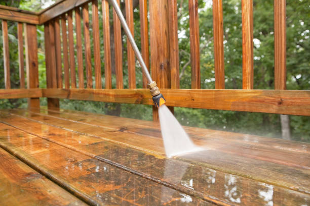 Best Restaurant Pressure Washing  in Grand Meadow, MN